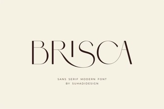Brisca Font: a Modern Brush Style for Creative Projects